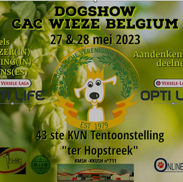 Hondenshow (hal A & B)  