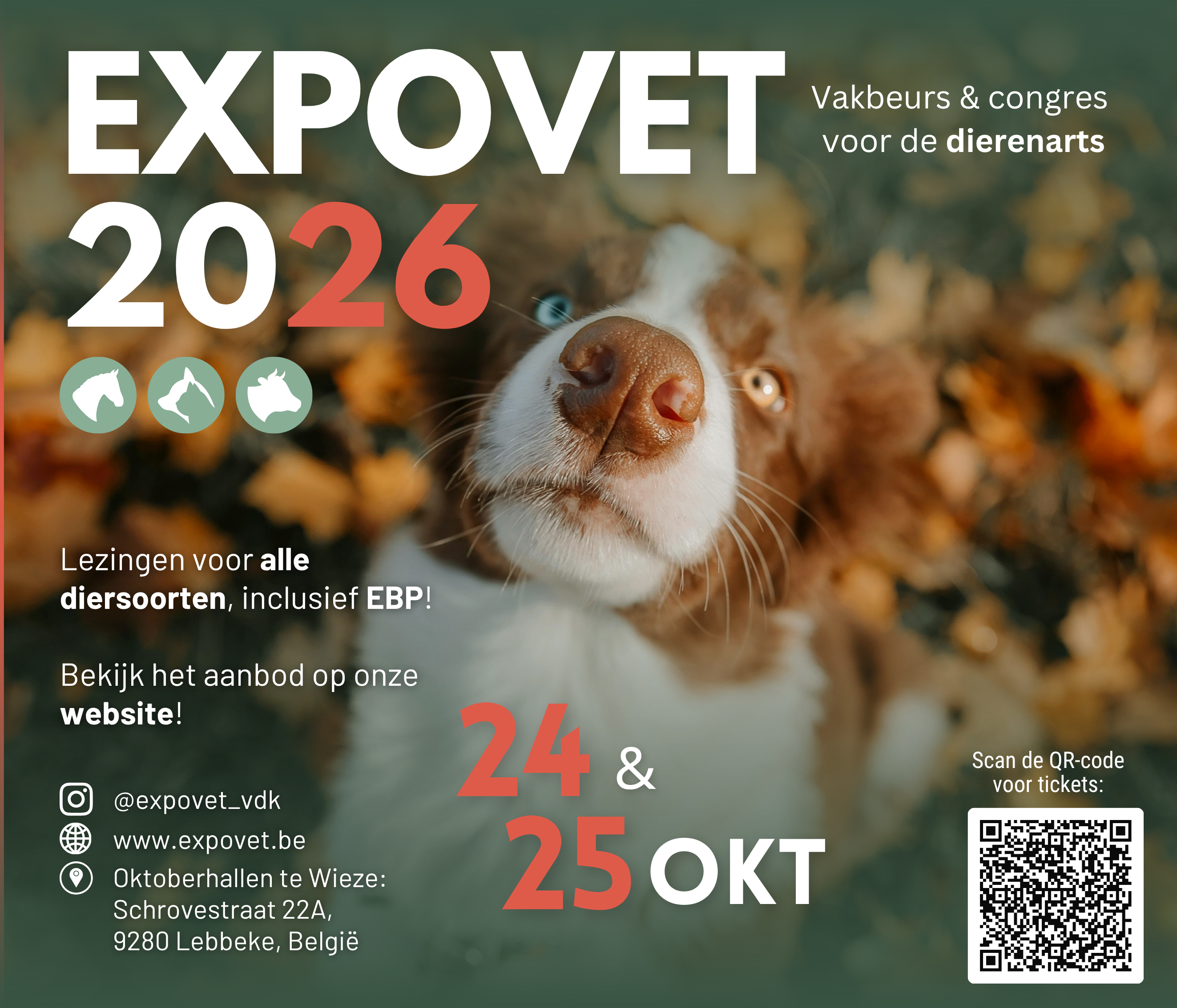 Expovet  (hal A & B)